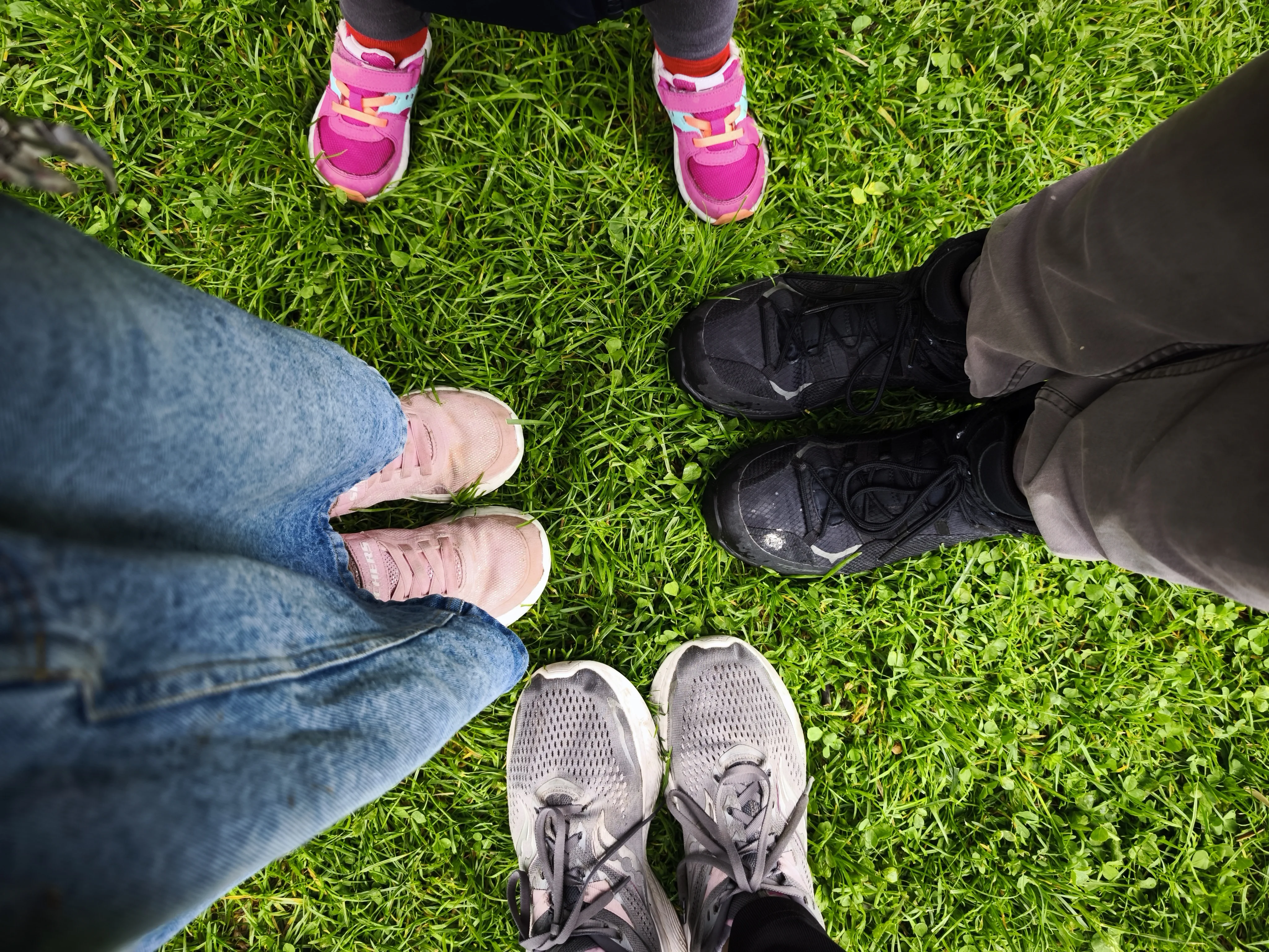 קטניות וזרעים