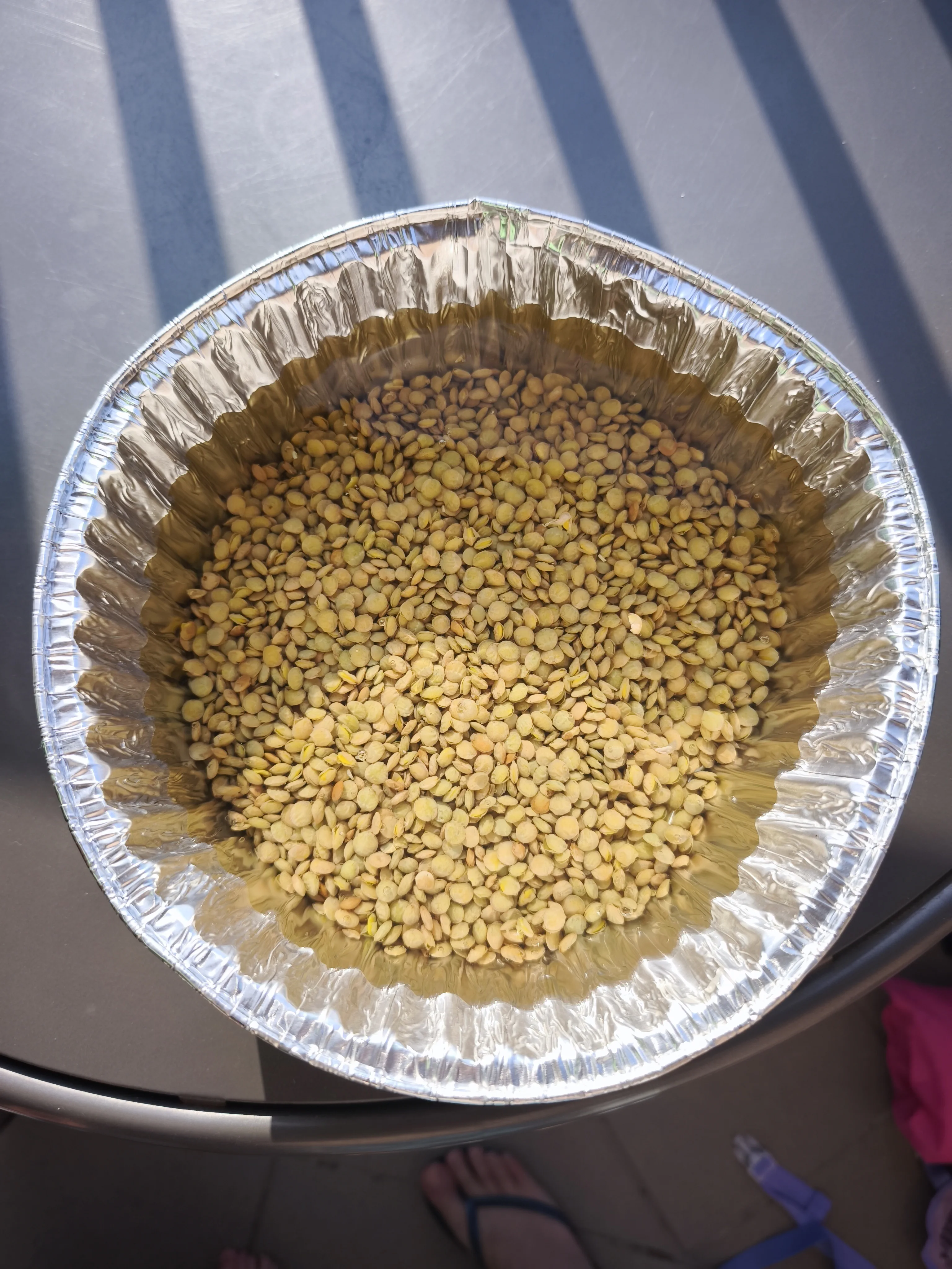 קטניות וזרעים